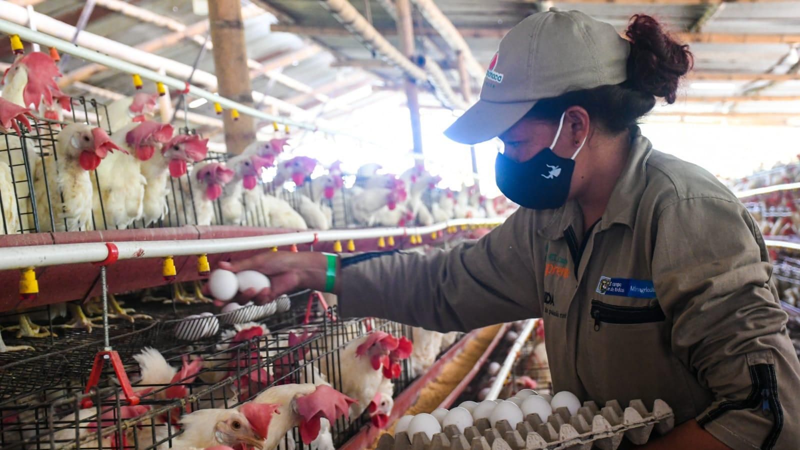 Aprendizaje experiencial en el campo