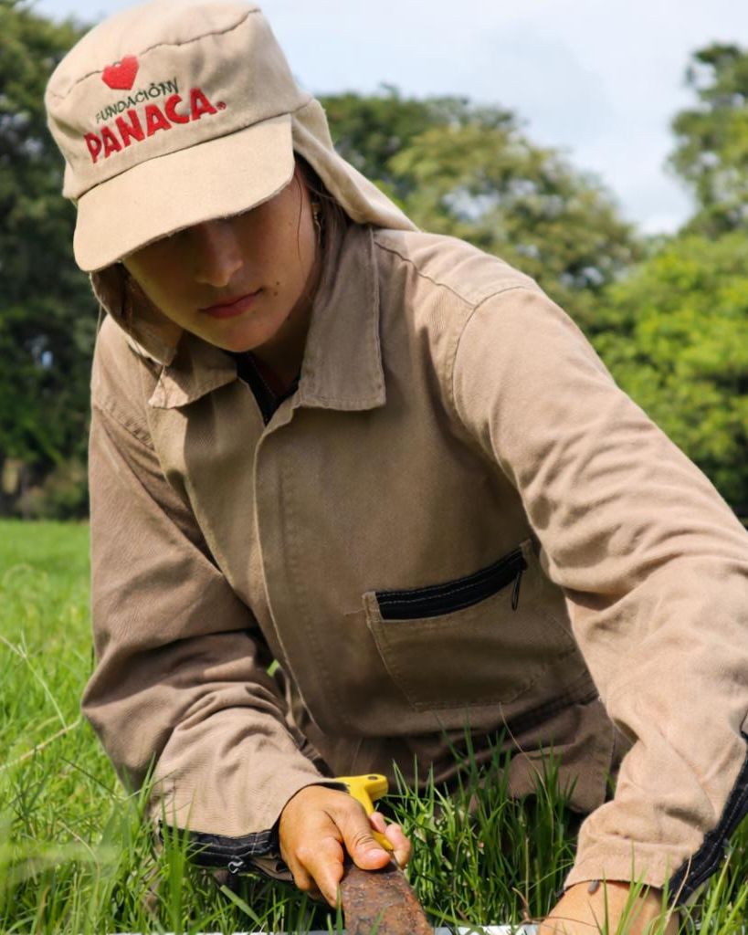 Siembra en el campo
